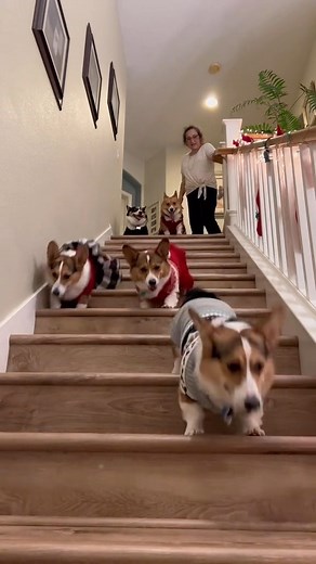 Basic Bitch Foundation