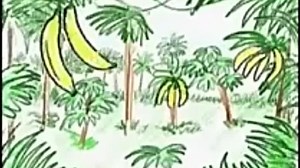 Baby Einstein - Baby Dolittle: World Animals (Spanish 2001)