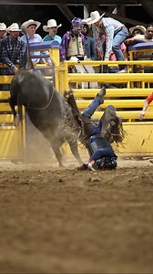 #buckingbulls #bullfighters #bulls | TK Farrier