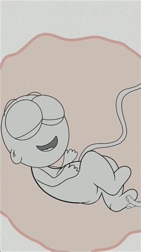 dark humor try not to laugh! 🤣 (best animation memes) #shorts #funny #anime