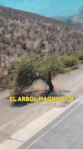 211K views · 12K reactions | En la zona de Jahuel en la zona central...