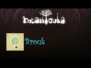 Botanicula : Brouk achievement