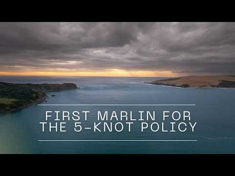 First Marlin for the 5-Knot Policy | Offshore Boat | Day 1 Part 1