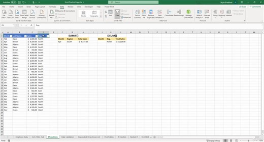 DSUM() Function Cont.