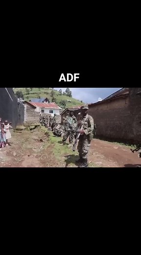 Understanding ADF and UPDF Dynamics in Uganda
