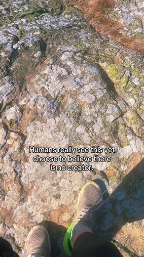 The Existence of a Creator: A Reflective Inquiry