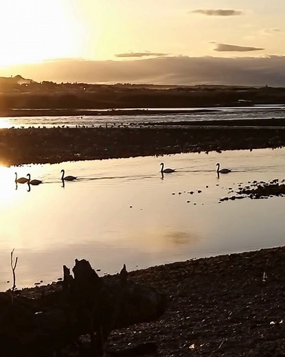 🌅 Sunset at the ever-changing Spey Bay, Moray — where the golden light meets the wild North Sea in perfect harmony. ✨🏴 #Scotland #SpeyBay #Sunset #Moray #fblifestyle | Amazing Scotland
