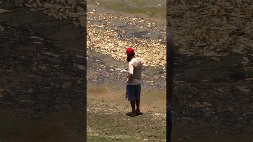 Witness the Amazon suffer through drought, fires, and extreme heat