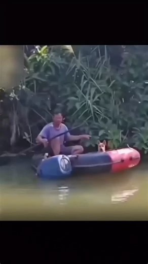 FurReelsHub on Instagram: "日本利用压电瓷砖将脚步转化为电能。这些瓷砖 捕捉来自你脚步的动能。当你行走时,你的重量和动作会对瓷砖产 生压力。瓷砖会轻微弯曲,从而产生机械应力。瓷砖内部的压电材 料将这种应力转化为电能。每一步都会产生少量电荷,而数百万步 结合在一起就能产生足够的电力来驱动 LED 灯、数字显示屏和传 感器。在像涩谷车站这样繁忙的地方,每天大约有240万个脚步 为这一系统作出贡献。这些电能可以被储存或立即使用,从而减少 对传统电力来源的依赖,并支持可持续的城市基础设施。这种方法 将日常运动转化为实用的可再生能源 #日本 #知识 #事实 #你知道 吗 #推荐 #科技#创新 #历史 #技术 #实验#热门日本利用压电瓷 砖将脚步转化为电能。这些瓷砖捕捉来自你脚步的动能。当你行走 时,你的重量和动作会对瓷砖产生压力。瓷砖会轻微弯曲,从而产 生机械应力。瓷砖内部的压电材料将这种应力转化为电能。每一步 都会产生少量电荷,而数百万步结合在一起就能产生足够的电力来 驱动 LED 灯、数字显示屏和传感器。在像涩谷车站这样繁忙的地 方,每天大约有240万个脚步为这一系