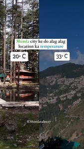 This is the importance of trees (Grow more trees) Save environment save life . Share and save this reels Follow @shimlatales27 for more videos . #shimlatales27 #shimla #shimladiaries #shimlahills #growtrees #saveenvironment #shimla😍 #mashobra #shimlatrip #shimlavaasi #shimla_diaries #himachal | Shimla Tales
