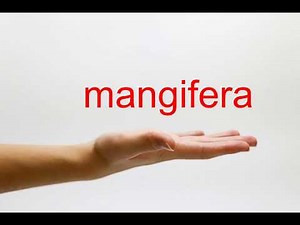 How to Pronounce mangifera - American English