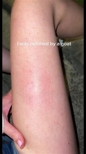 🐐Goats = Satan👹 #ClearGenius #goat #farm #storytime