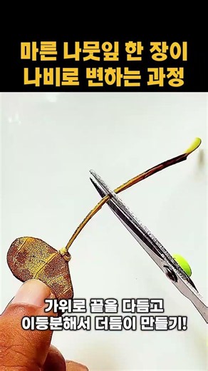 나뭇잎 하나로 만드는 감성 나비 공예 DIY #craft #natureart #upcycling #tutorial #creative
