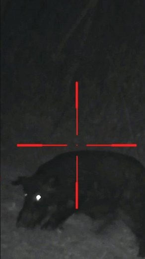 Hog gets back up AFTER head shot⁉️🤔🐗 #Viral #Like #Shorts #Subscribe #ViralShorts #Hunting