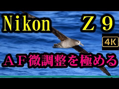 Nikonユーザー必見！AF微調整を極める。Z9のAF微調整についても考察する。