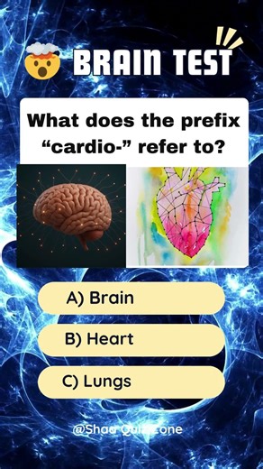 General Knowledge Quiz #shortsfeed #ytshorts #shortsbeta #quiz #youtubeshorts #generalknowledge