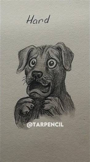 How to draw a Dog (scared) ✏️ #drawing #art #tutorial #howtodraw #sketch #dog
