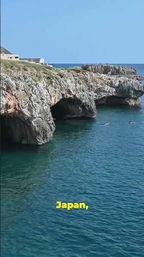 The Immortal Jellyfish: How Turritopsis Dohrnii Can Live Forever!