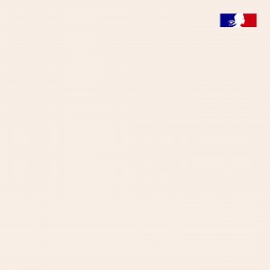 210 reactions · 117 shares | #Recrutement | Digitaliser, innover, transformer! Ces missions vous intéressent ? Postulez au concours de technicien du #numérique avant le 3 mars ⬇️ | Ministère de l'Intérieur | Facebook