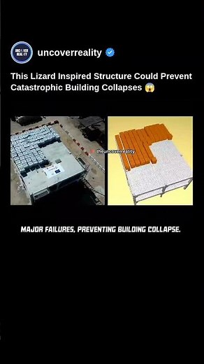 This Lizard Inspired Structure Could Prevent Catastrophic Building Collapse #engineering #shorts