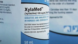 East Tennessee sees drop in xylazine overdoses in 2025, experts say