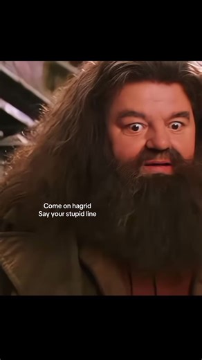 Memorable Hagrid Quotes from Harry Potter