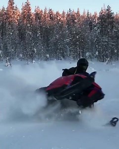 375K views · 1.4K reactions | The Alpha Mountain Cat turns on a dime  #ArcticCatNation ⠀⠀⠀⠀⠀⠀⠀⠀⠀⠀⠀⠀  @wernerviljam | Arctic Cat - Snowmobiles | Facebook