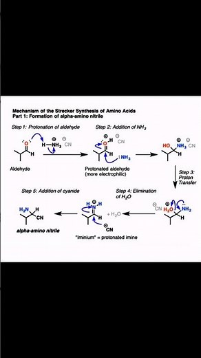 Strecker Synthesis| mechanism