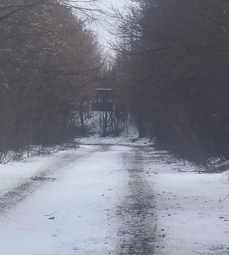 Military Tank in Winter Landscape: A Powerful Display