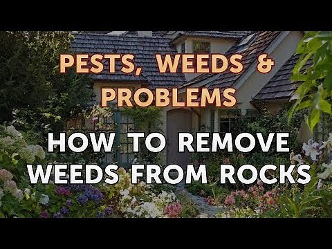 How to Remove Weeds From Rocks