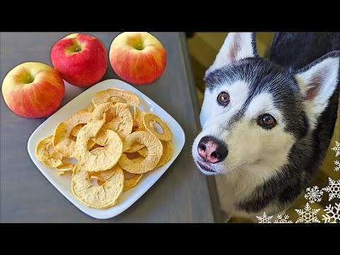 Crunchy Apple Chips for Dogs 🍎 DIY Dog Treats