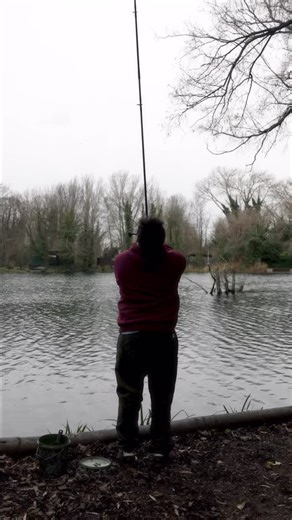 Is this the BEST baiting tool on the market 🚀🤔? We decided to put the @wolfint_official Tri Spod X Performance to the test to see if it really does make a difference to your baiting… #bigcarp #carping #fishing #karpfenangeln #karper #carpangler #carpfishinguk #catchandrelease #carpfishingitalia #mirrorcarp #carpcrossing #fishinglife #Carp #carpe #commoncarp #carpfishing #carpfishinggermany #carplife #carpy #pechecarpe #karpfen #karp #carpangling | The Tackle Box