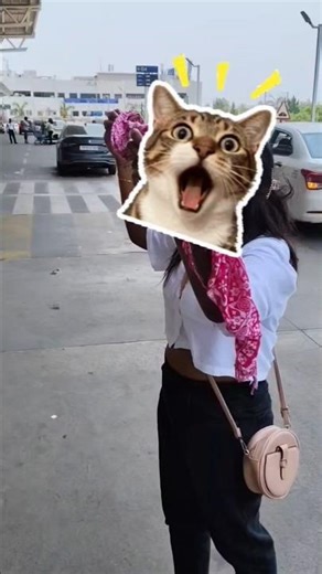 My first flight surprise ✈️🫣 #firstflightjourney #femaletraveller #surprise #shorts #travel #fyp