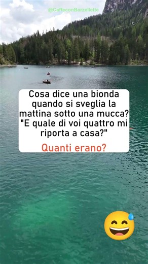 Cosa dice una bionda 😄