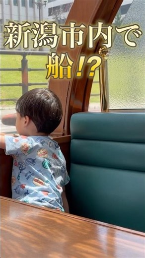 【新潟】子連れで船！？信濃川ウォーターシャトルに乗ってみた🚢#新潟市#新潟旅行 #新潟観光 #子連れおでかけ#niigata #japantravel #shorts