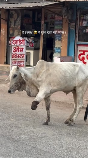 Suraj Vishwakarma on Instagram: "निशब्द 🙏🙏😔🥹 #foryou #explore #publicfigure #surajdanceroffcial01 #sad #instamood #instagram"