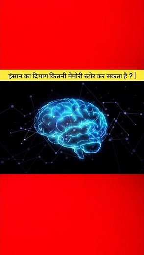 How Much Memory Can the Human Brain Store? | Human Brain Storage Capacity Explained