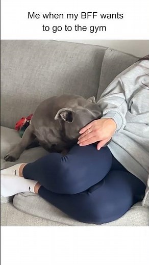 My dog does not want to go on a run with me... 😅