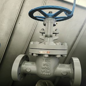 [Hot Item] API 600 A216 Wcb Cl150 Gate Valve Solid Wedge