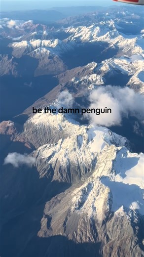 Mountains and Penguins: A Unique Adventure