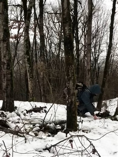 Extreme Winter Survival in the Rain and Snow： 2 Day’s Alone at 14°C | Toby Cross