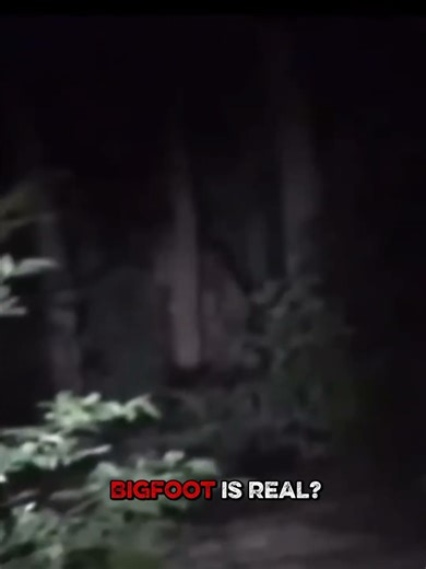 Bigfoot – The Mystery of the Forest Explained
