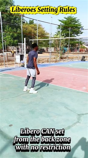 4.1K views · 310 reactions | LIBERO SETTING RULES (Simple...