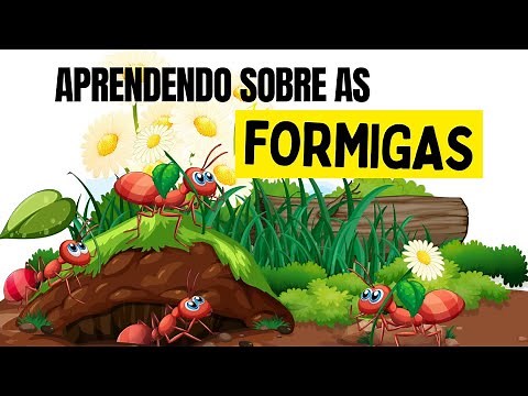 Aprendendo sobre as FORMIGAS/ As formigas são um grande exemplo / Vídeo Infantil sobre as formigas