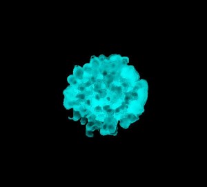 File:Regulation-of-Mat-Responses-by-a-Differentiation-MAPK-Pathway-in-Saccharomyces-cerevisiae-pone.0032294.s005.ogv - Wikimedia Commons