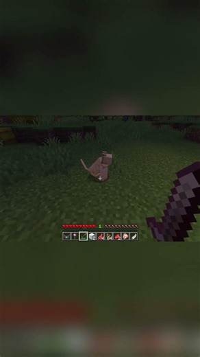 can you find him? 👀| Minecraft morph mod hide & seek