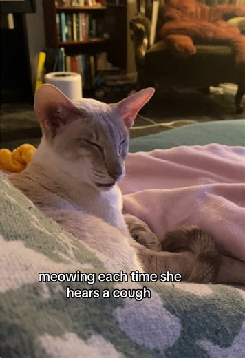 Intelligent Ivy: A Hilarious Cat Reveal