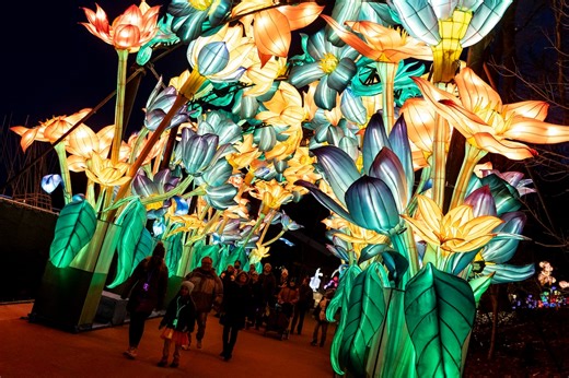 Grand Rapids Lantern Festival magic cultivates wonder at John Ball Zoo
