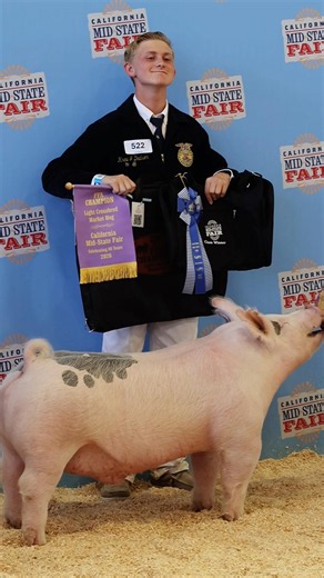Mid-State Fair! Champion FFA York and Champion FFA Light Cross! #showpigs #yorkshire #midstatefair