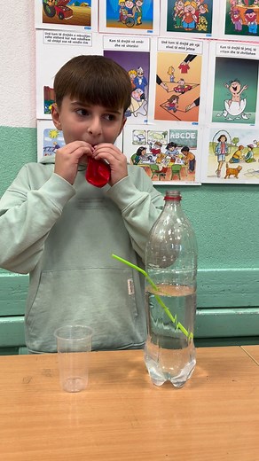 🏫 Java e Shkencës 2025 🧪 Nxënësit e klasës IV-3, nën udhëheqjen e mësueses Vildane Sulejmani, treguan kreativitet, përkushtim dhe dashuri për shkencën përmes eksperimenteve të tyre të veçanta. 🔬 ⚗️ Afan Ferati – Me energji dhe entuziazëm, Afani e shndërroi eksperimentin në një përvojë zbuluese dhe argëtuese, duke treguar dashurinë e tij për dijen. ---------------------------------- 🏫 Недела на науката 2025 🧪 Учениците од одделение IV-3, под раководство на наставничката Вилдане Сулејмани, по